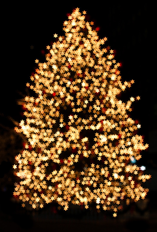 Illustration for article titled Photo Contest: Christmas Lights